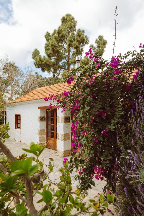 Ecoverode Hotel Emblematico Vegetariano Vegano Arona  Exterior photo